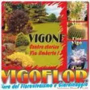 Vigoflor logo