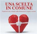 Una scelta in Comune